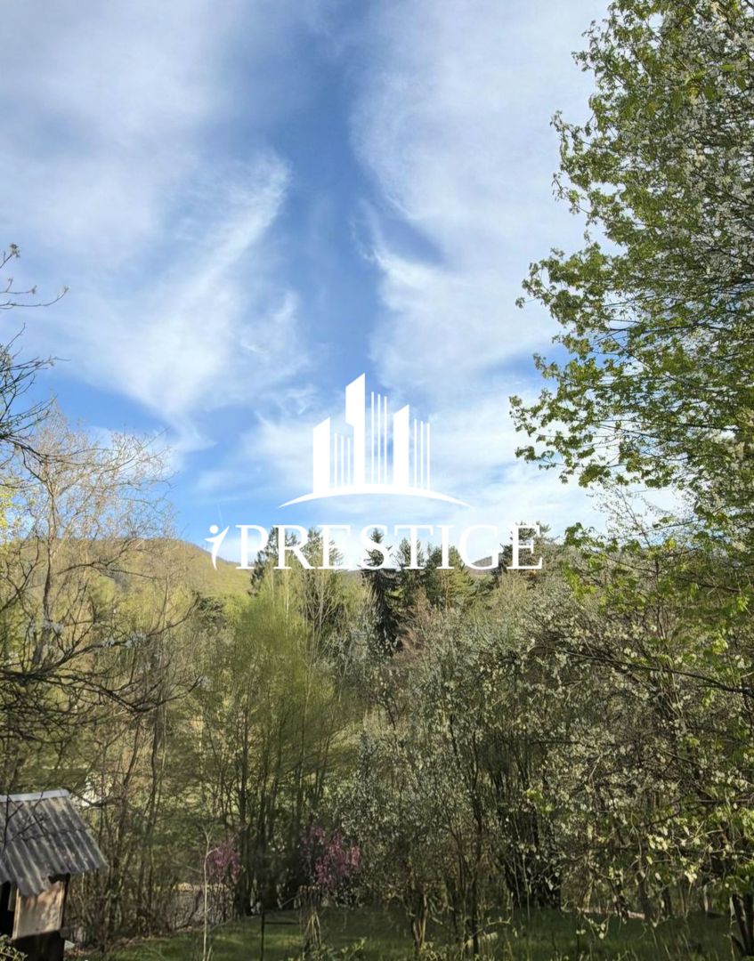 TEREN INTRAVILAN 1013 MP | UTILITĂȚI LA STRADĂ | ZONA PIATRA BROAȘTEI - Poză 6