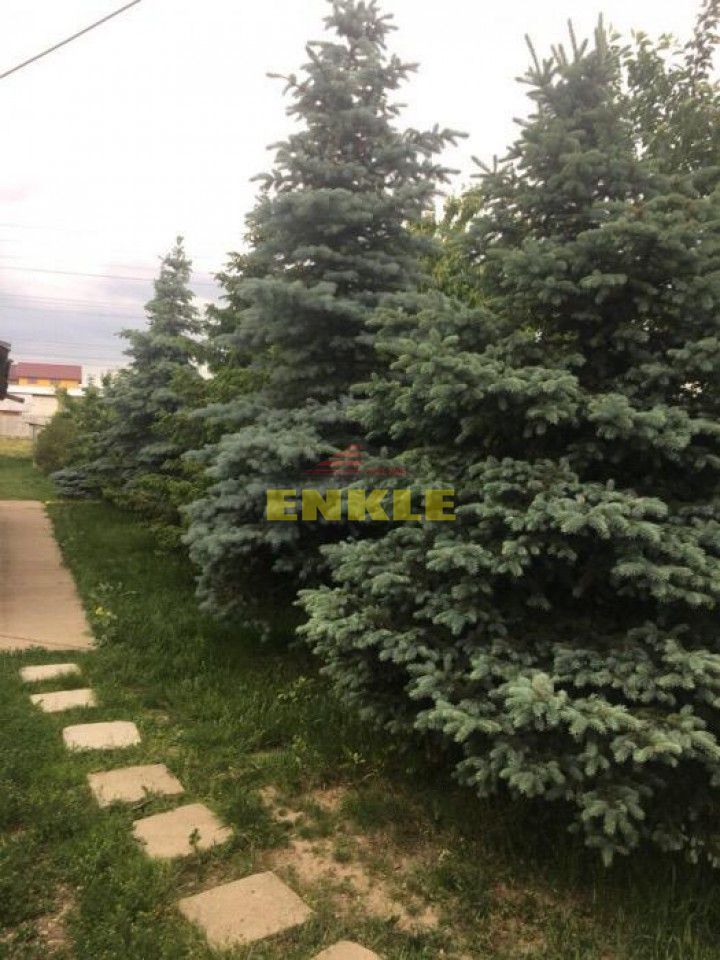 Teren 3200 mp, Hudum, cu toate utilitatile, 145000 euro neg - Poză 4