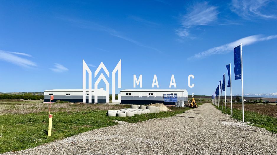 Hală de vânzare  I Cu Utilități I Sibiu Vest I Dezvoltator - Poză 10