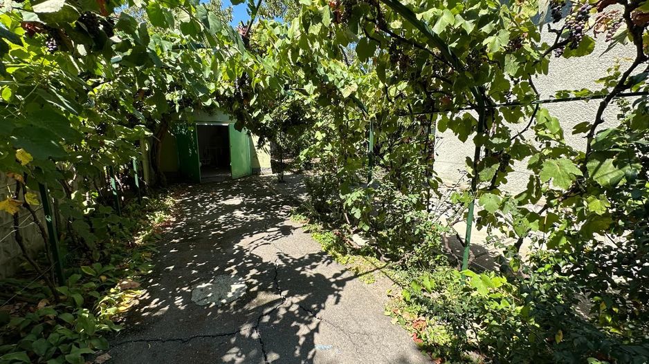 Casa cu teren 1394 mp zona Mehala - Poză 4