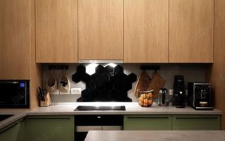 Apart deosebit pe malul Begai - Poză 4