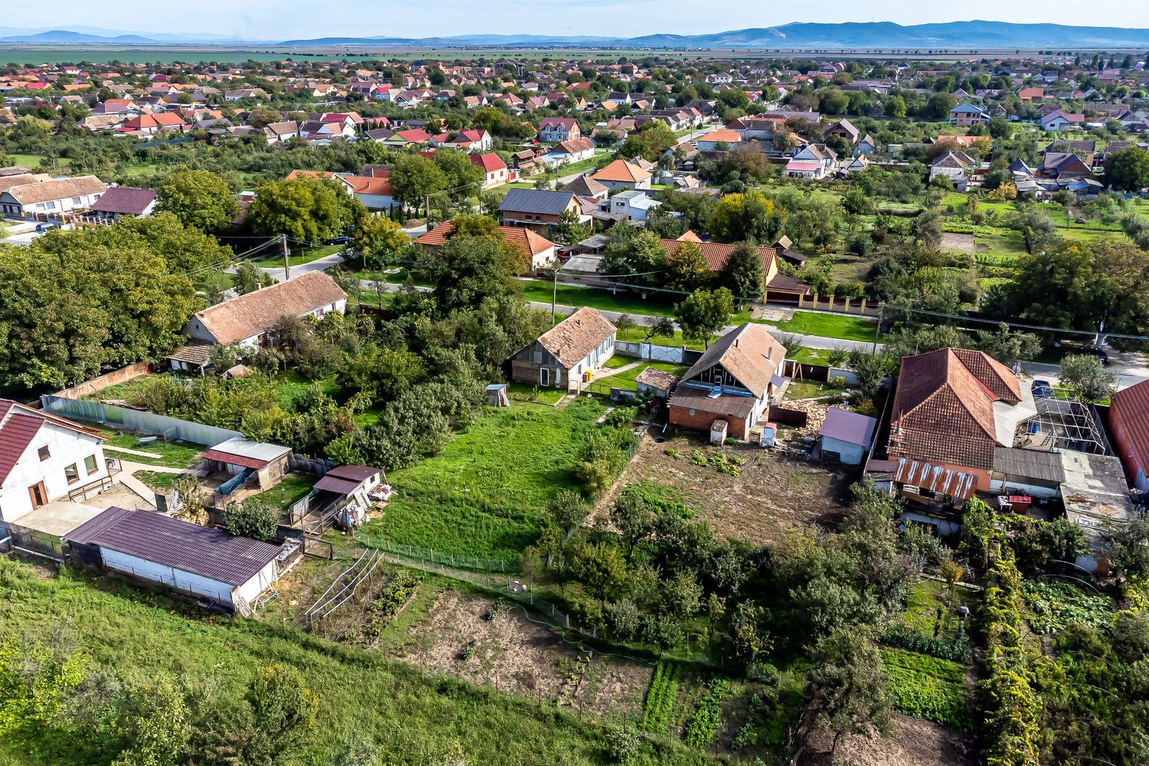 Casă cu grădină în Sântana - Poză 7