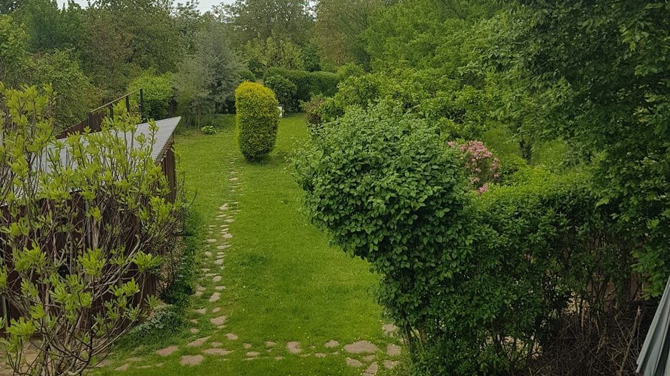 BRASADAS vinde casa individuala in zona Aurel Vlaicu. - Poză 21