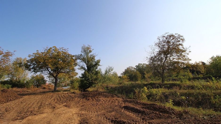 Teren 5963 mp deschidere lac Grivita 42 m cu deschidere la strazi 77 m - Poză 17