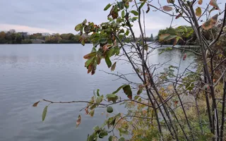 vila cu 4 apartamente | Green Lake | Baneasa | Sisesti - Poză 26