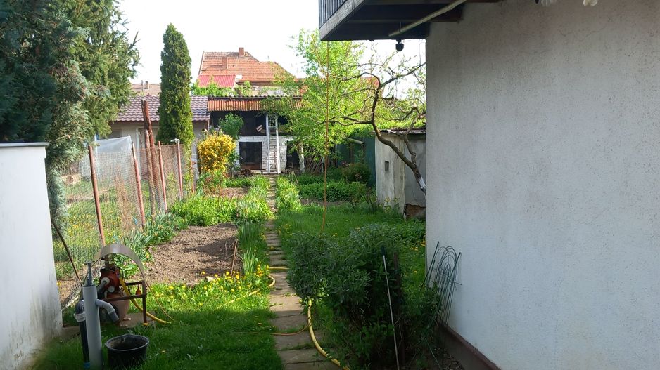 BRASADAS vinde casa cu 6 cam 2 bai cu tern 3.3 ari. - Poză 2