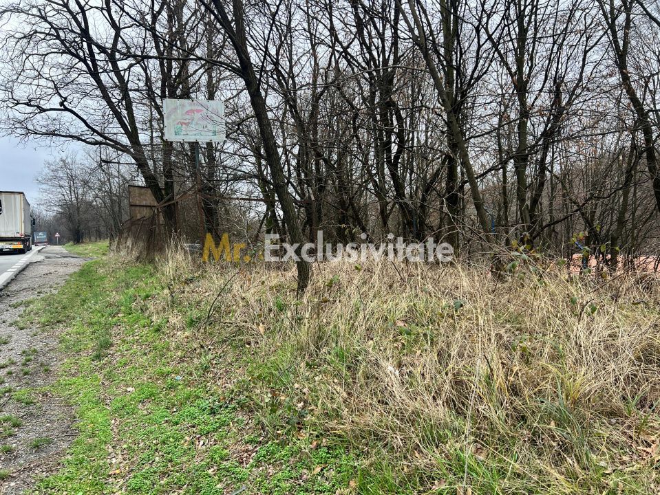Teren intravilan 6.500 m²–Deschidere 144 ml drum european E81, km 35, Morăresti - Poză 5