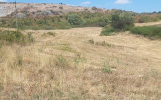 Teren extravilan | Betfia | 7935 Mp | Bihor - Poză 3
