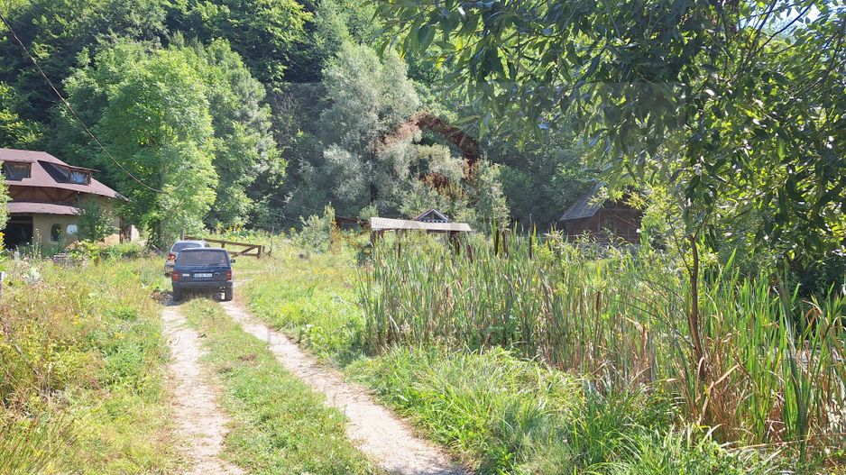 VANZARE ANSAMBLU CASUTE BRADULET ARGES - Poză 23