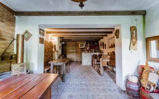 Domeniu în satul Căprioara - Poză 74