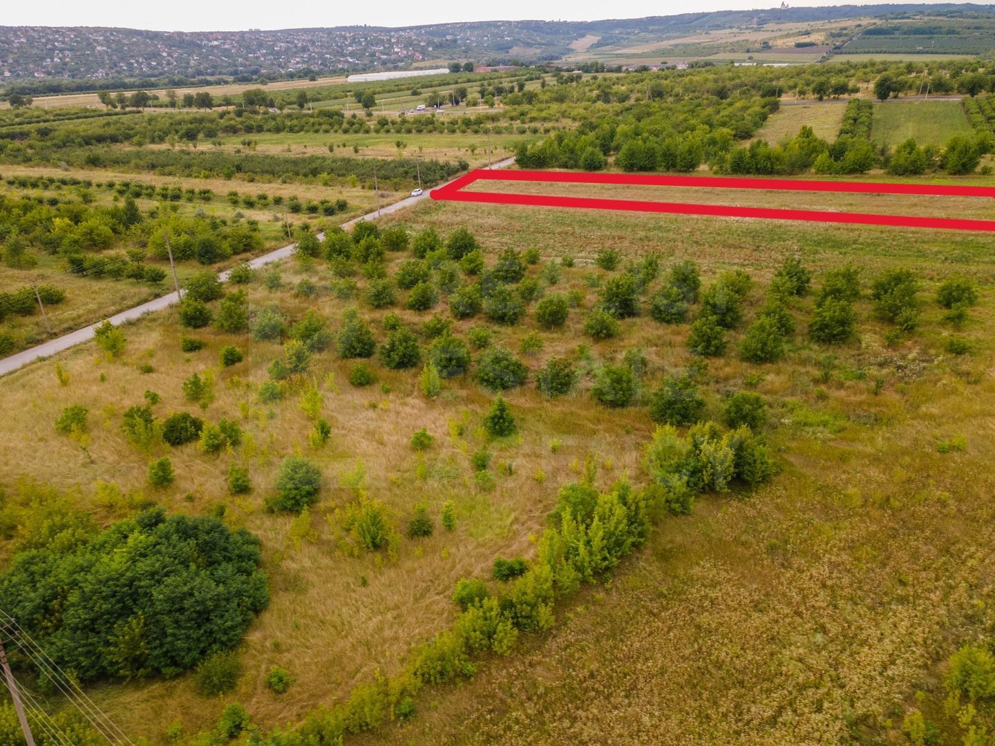 Vânzare, teren, 50 ari, str. Tineretului, Trușeni - Poză 4