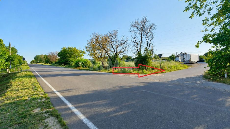 TEREN PENTRU CONSTRUCȚIE – 12 ARI | SPEIA- ANENII NOI - Poză 2