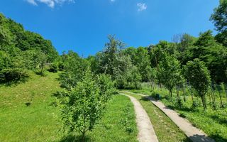 Casa de la marginea padurii! - Poză 9