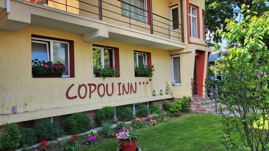 Proprietate de vanzare - Poză 6