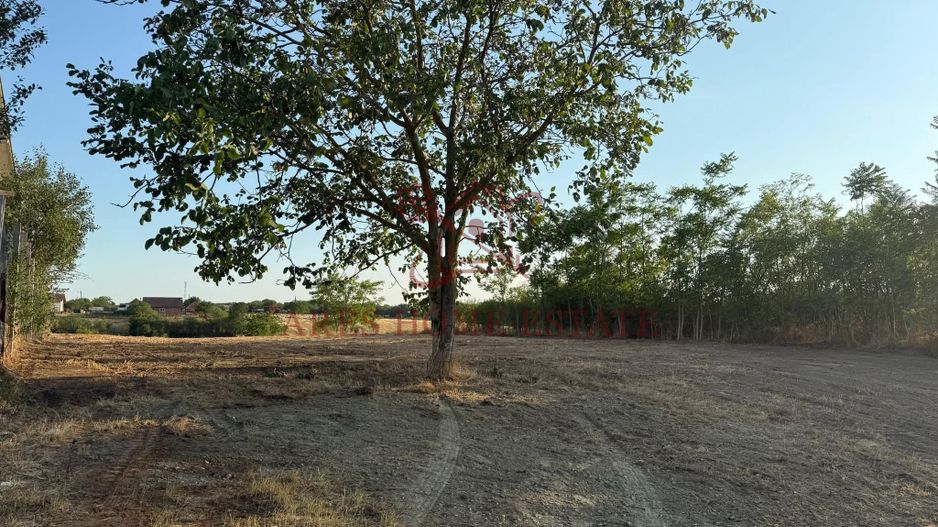 Teren intravilan 2.192 mp cu front 20 m – Seceani, Timiș - Poză 1