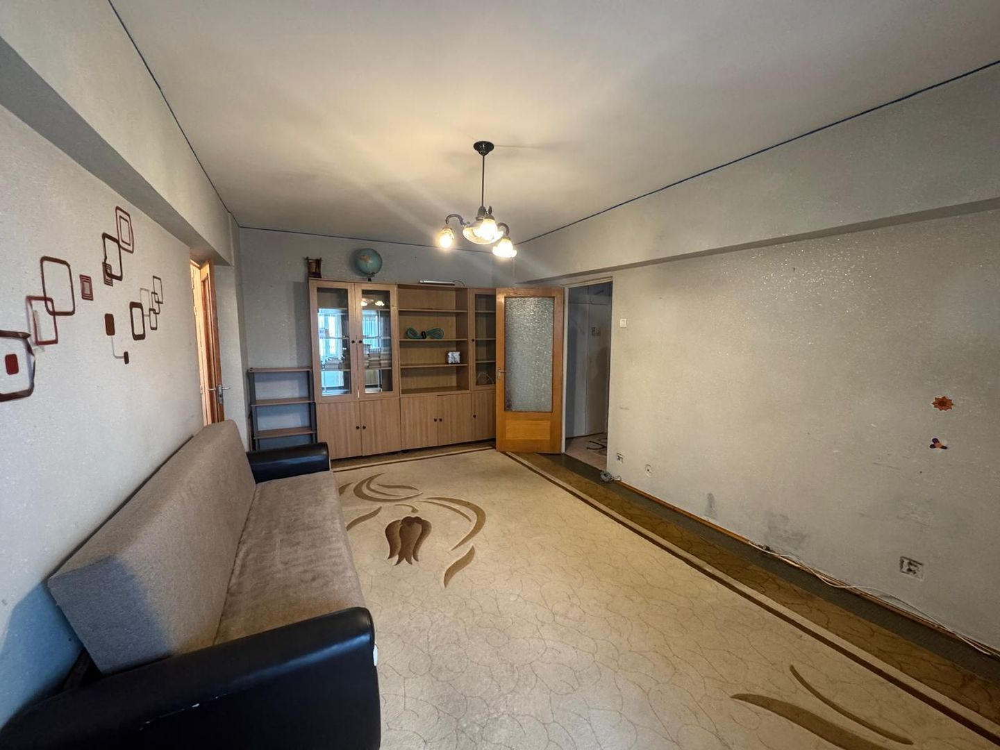 2 Camere Campia Libertatii Pet friendly - Poză 2