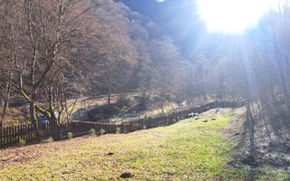 Paradis pe Transalpina in Sugag - Poză 24