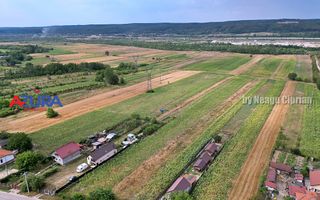 AZURA Imobiliare - Teren Budeasa Galasesti Calotesti - Poză 7