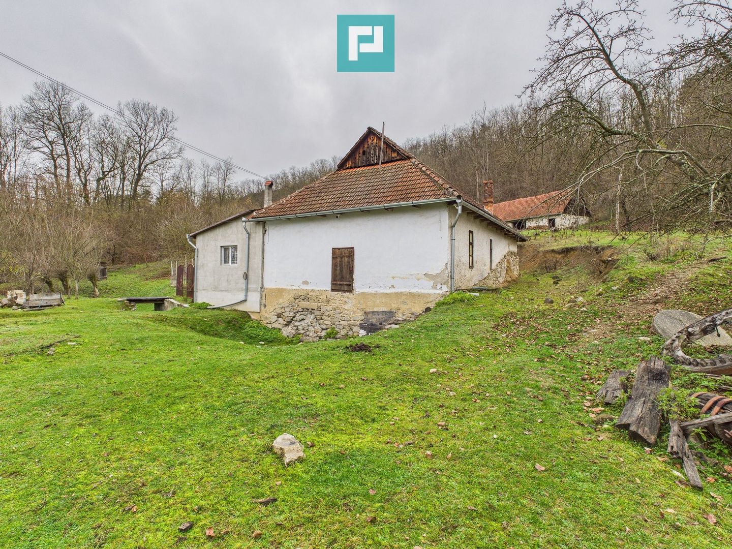 Casă cu teren de 24.679,73 mp, în Hălmagiu, Arad - Poză 9