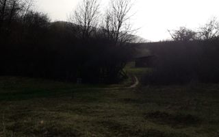 Teren Extravilan 4.572mp | Zonă liniștită | Sadu - Poză 6