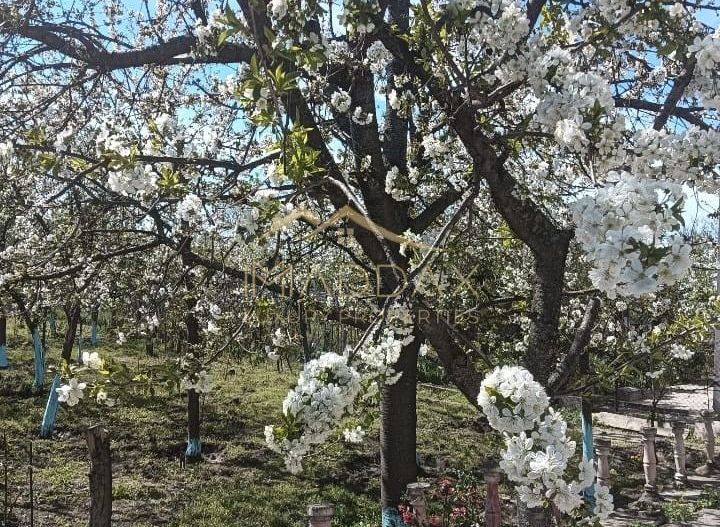 Vila 9 camere***gradina cu pomi fructiferi//1085 mp teren***Dragomiresti-Deal - Poză 22