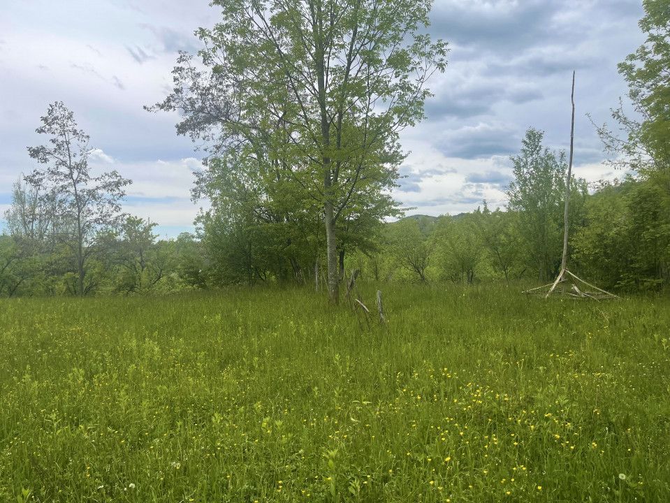 Teren intravilan Sotrile 6762 mp – Investitie, camping, agroturism - Poză 5