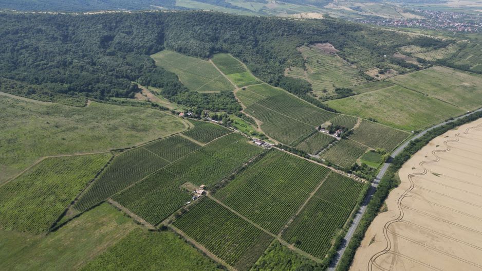 Vie Tradițională „Halta Lupilor” - Poză 27