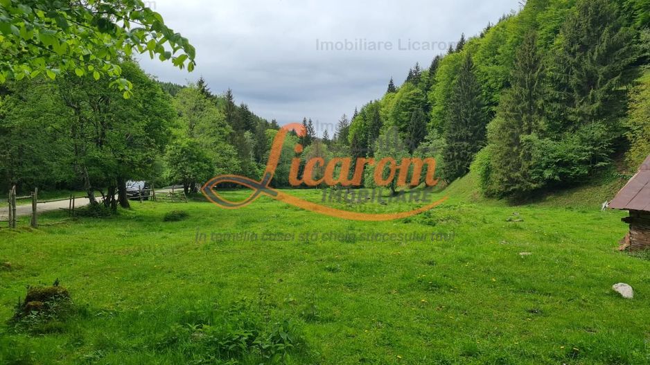 13005 mp teren faneata in Bran Simon cu fornt de 57 mp - Poză 6