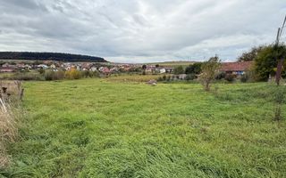 Oportunitate investitie! Teren intravilan, 3496 mp, centru Chinteni - Poză 1