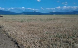 Teren extravilan Prejmer - Poză 5