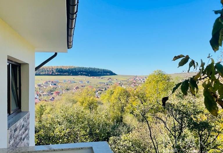 Ansamblu de 3 case la vanzare  in Chinteni! - Poză 5