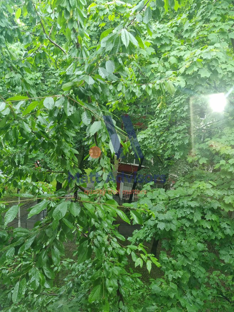 VANZARE 2 camere | 95.000 euro negociabil | Pajura-Cartierul verde - Poză 16