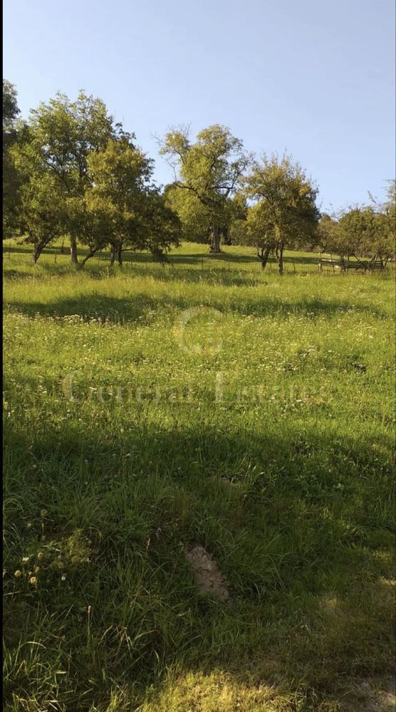 Teren Moieciu de Jos - Poză 1