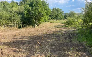 Teren Intravilan 10.350 mp | Colonia Becas I Cluj Napoca - Poză 13