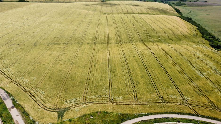 Teren la sosea Ortisoara - Autostrada A1 - Poză 29