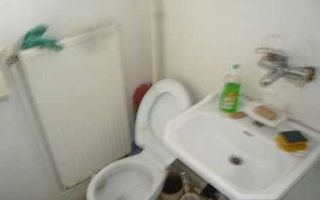 Casa cu trei camere  la curte de inchiriat. - Platinia - Poză 7