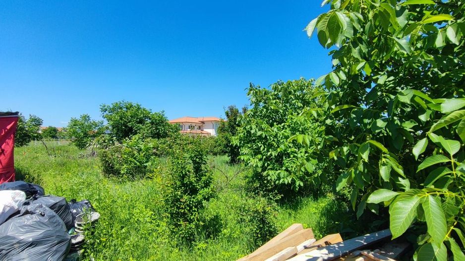 Lot pentru două case – Corbeanca Tamași - Poză 19
