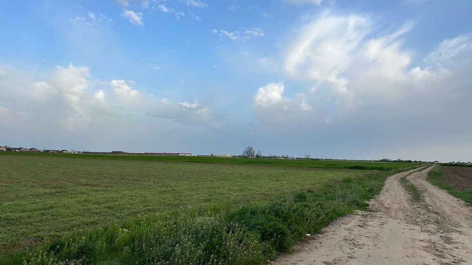 Teren intravilan cu destinatie rezidentiala 7.458 mp Balotesti - Poză 2