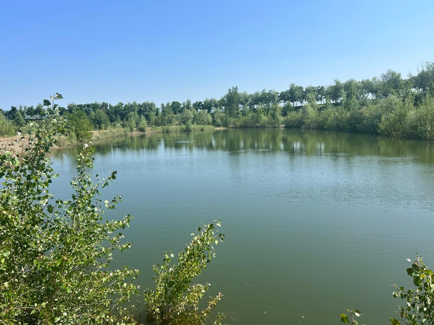 Iaz Piscicol Bacau Saucesti - Poză 6