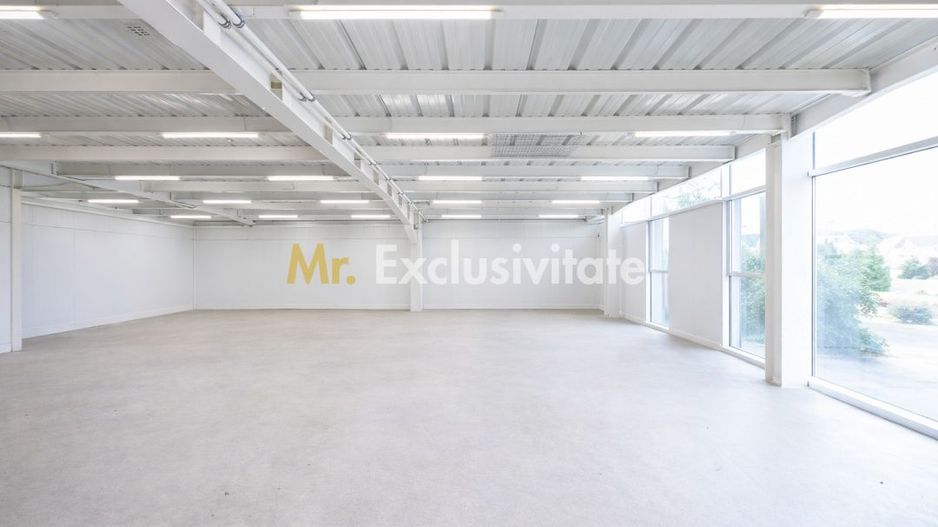 Hală industrială / spațiu comercial – VÂNZARE – DN 65B – Bradu, zonă comercială - Poză 3