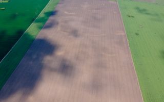 Teren de 5Ha în Satchinez. - Poză 7