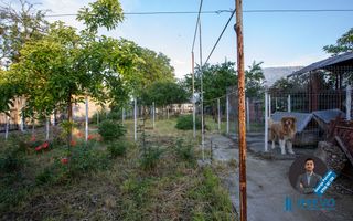 Casă + Spațiu Comercial de vânzare, Șerbanești, Bacău - Poză 44