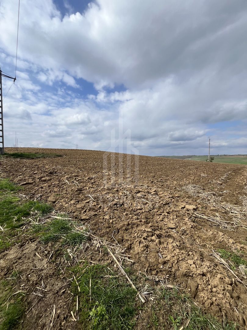 Teren  de vânzare DAIA  OPORTUNITATE  pentru dezvoltatori - Poză 1