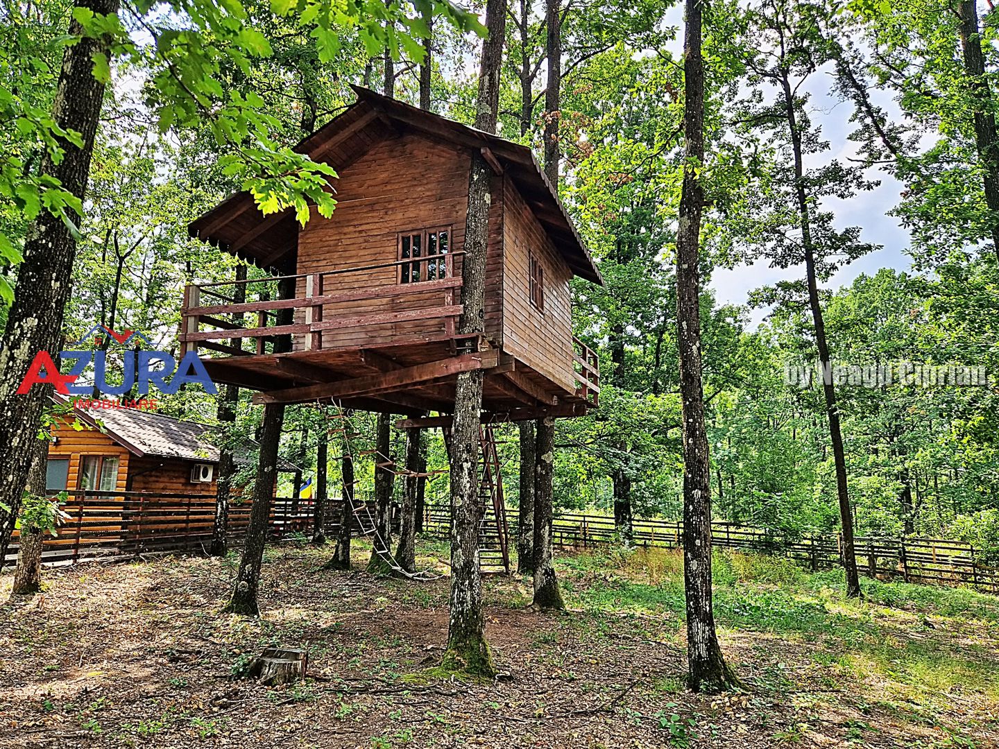 Casă de vacanță în pădure, 10 km de Pitești - Babana - Poză 6