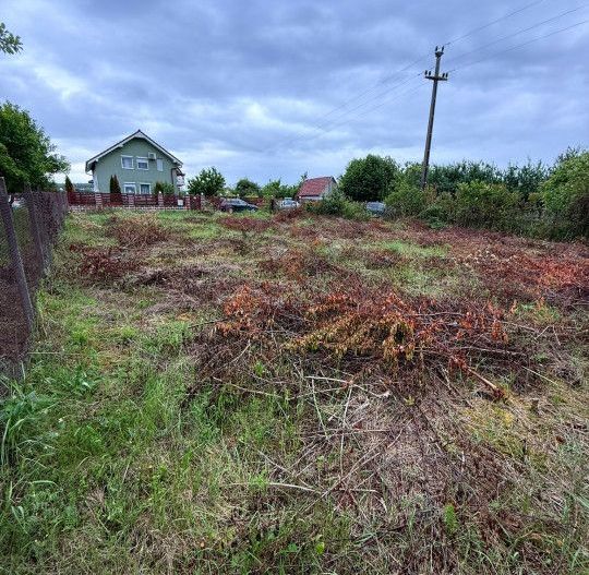 Teren Intravilan Padurea Noroieni - Poză 2