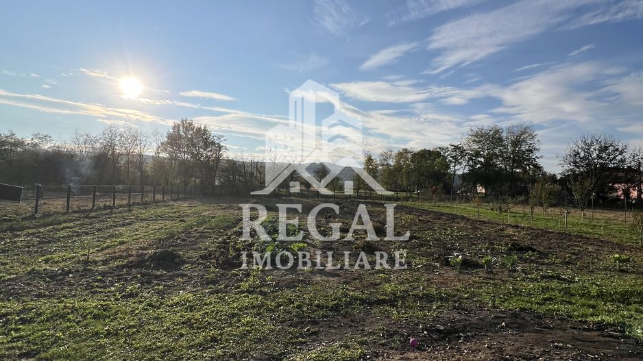 Casă spațioasă de vânzare în Ruși – pentru locuință sau investitie - Poză 19