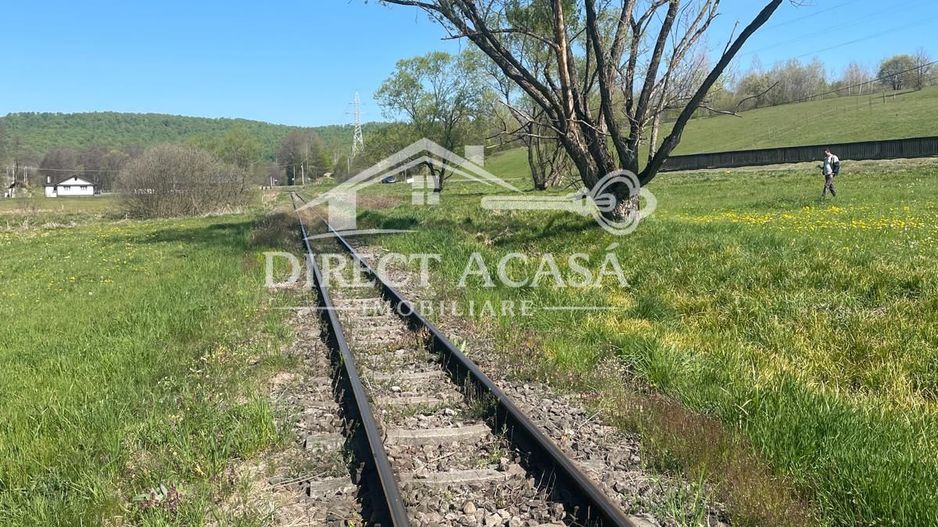 Teren intravilan 8900 mp-Sacadat-Sovata - Poză 5