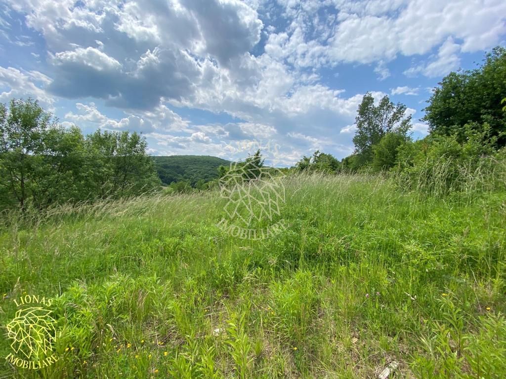 Teren intravilan 2800 mp cu utilitati-ideal case-Valea Ghinzii - Poză 6