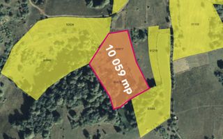 Teren cu panoramă fabuloasă, 10.059 mp, Roșia. 19.000 EUR. Comision 0 - Poză 1