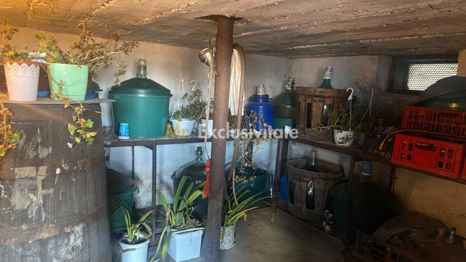 Proprietate cu potențial turistic și agricol | 7.661 mp|Șomanești-GORJ - Poză 17